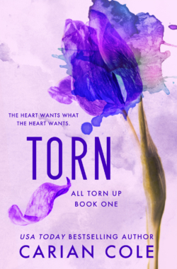 TORN (All Torn Up #1) Hachette Cover – Carian Cole